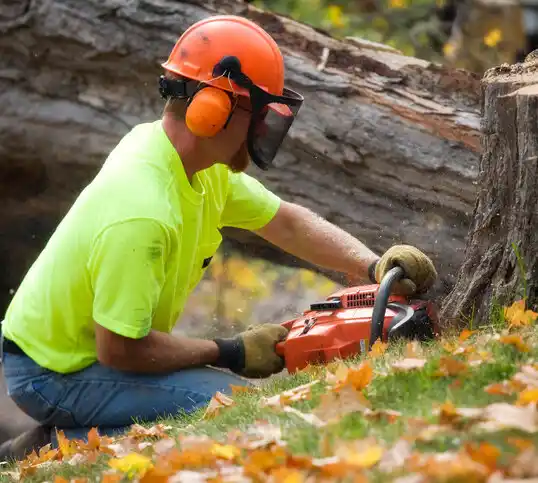 tree services Midland